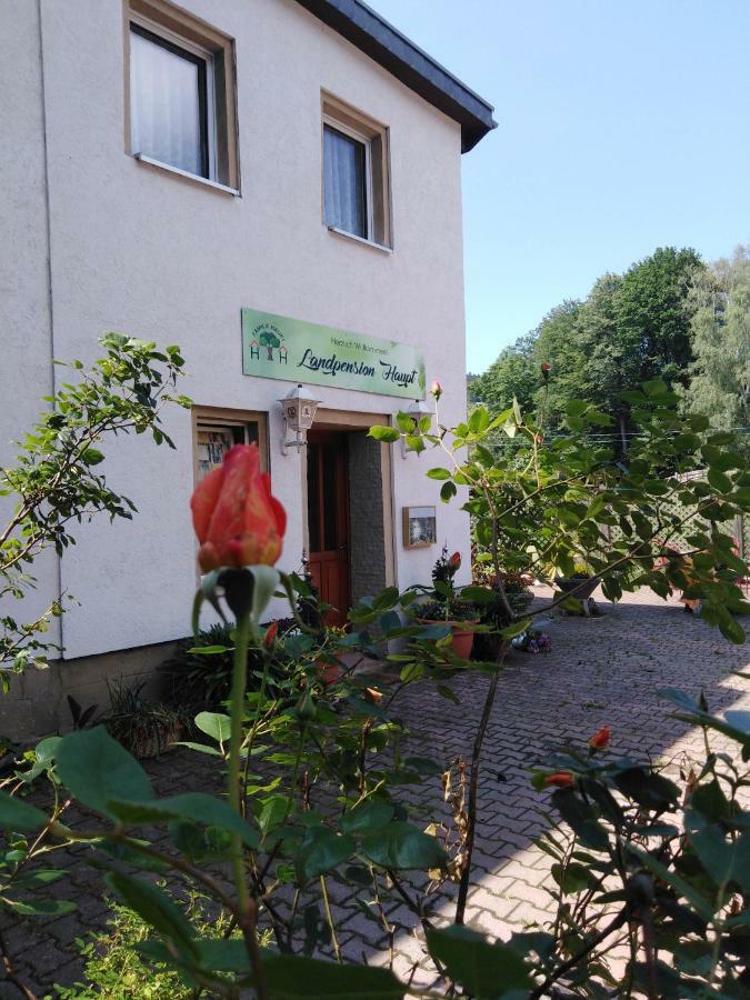 Landpension Haupt Зебниц Екстериор снимка
