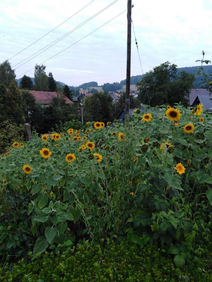 Landpension Haupt Зебниц Екстериор снимка